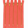 Coral 4